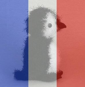 Meet your Posher, Steph